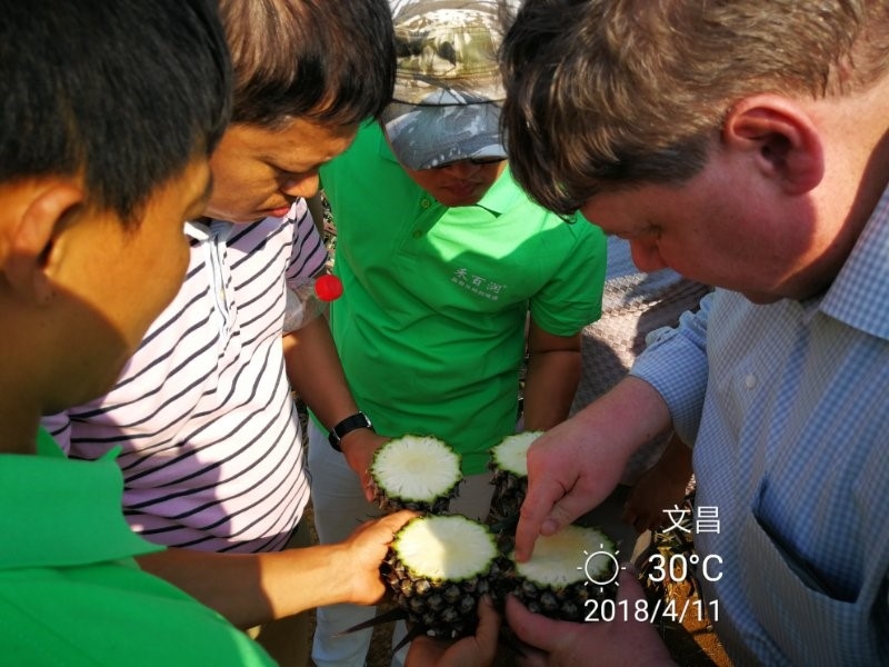Feldergebnisse in China