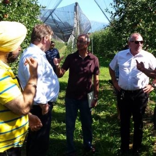 Apoyando la producción de manzanas en el Tirol del Sur
